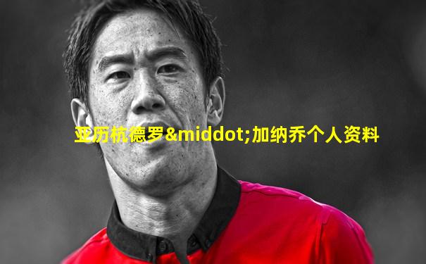 亚历杭德罗·加纳乔个人资料
