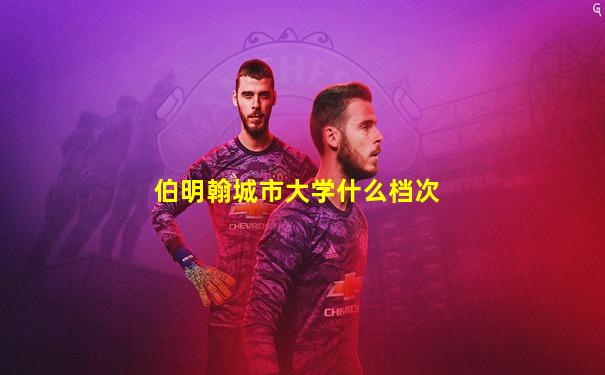 伯明翰城市大学什么档次