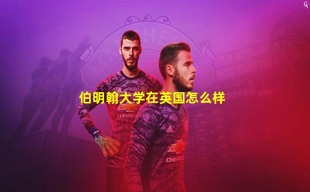 伯明翰大学在英国怎么样