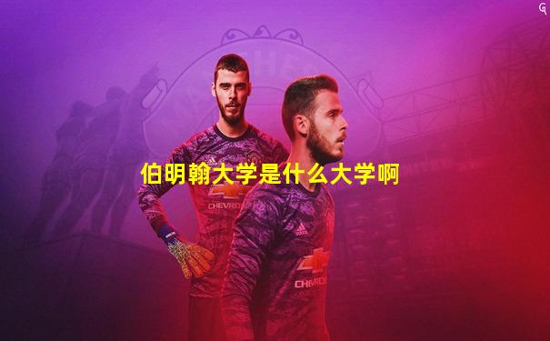 伯明翰大学是什么大学啊
